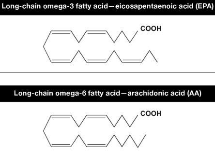 Molecular structure of long-chain omega-3 and omega-6